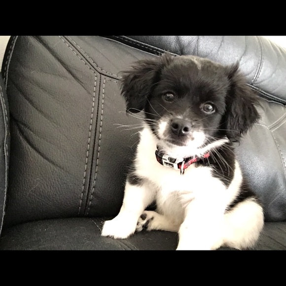 Meet your Posher, Steph - Picture 1 of 1